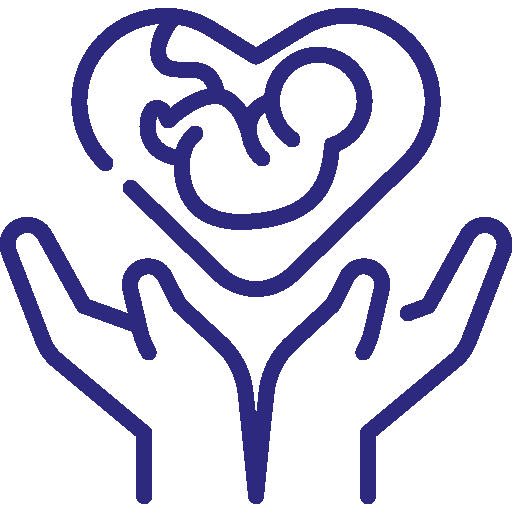 icon01
